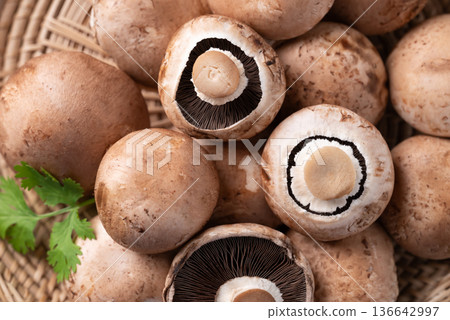 Top view of fresh crimini mushroom or baby bella mushroom in a basket Top view of fresh crimini mushroom or baby bella mushroom in a basket 136642997
