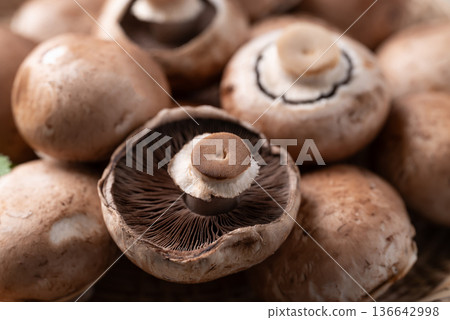 Close up of fresh crimini mushroom or baby bella mushroom Close up of fresh crimini mushroom or baby bella mushroom 136642998