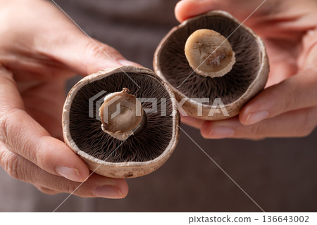 Close up of hands holding fresh crimini mushroom or baby bella mushroom Close up of hands holding fresh crimini mushroom or baby bella mushroom 136643002