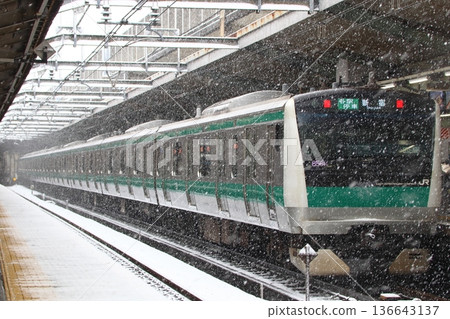 [日本] 埼京線 E233 系列冬季列車 136643137