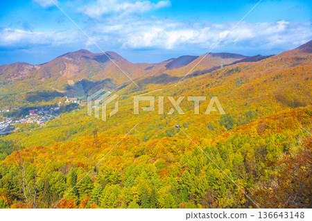 Autumn Zao 136643148