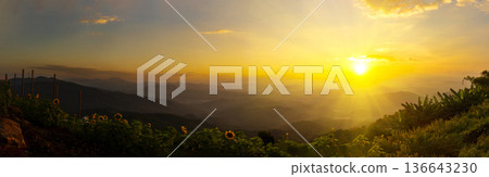 Banner Scenic view dramatic beautiful sunset sky. Panorama Natural Sunset Sunrise on meadow silhouette shadow dark land. Vibrant dramatic sky in Countryside. Landscape Sky At Sunset with copy space Banner Scenic view dramatic beautiful sunset sky. Panorama Natural Sunset Sunrise on meadow silhouette shadow dark land. Vibrant dramatic sky in Countryside. Landscape Sky At Sunset with copy space 136643230