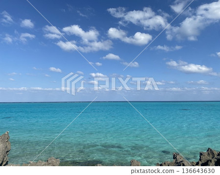 鹿兒島縣與論島美麗的海洋和熱帶風光 | 擁有清澈海灘的偏遠島嶼的絕美照片 鹿兒島縣與論島美麗的海洋和熱帶風光 | 擁有清澈海灘的偏遠島嶼的絕美照片 136643630