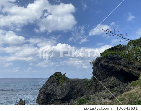 鹿兒島縣與論島美麗的海洋和熱帶風光 | 擁有清澈海灘的偏遠島嶼的絕美照片 136643631