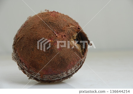 Old Cricket Ball 136644254
