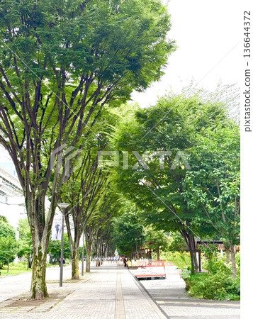 A green shopping street 136644372