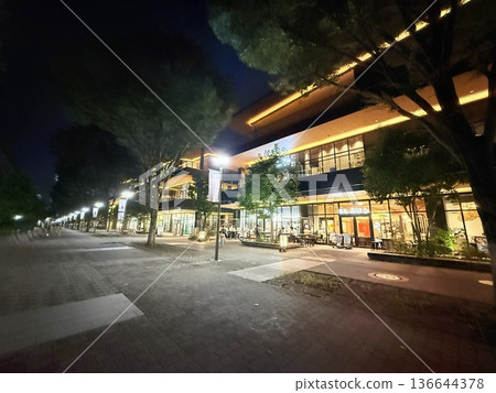 A green shopping street A green shopping street 136644378