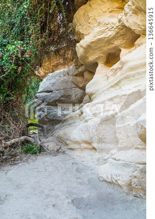 Exploring the Geological Wonders of Avakas Gorge in Paphos, Cyprus A Natural Stone Formation Exploring the Geological Wonders of Avakas Gorge in Paphos, Cyprus A Natural Stone Formation 136645915