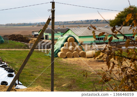 Expansive rural area with harvested hay piled and farming equipment parked nearby Expansive rural area with harvested hay piled and farming equipment parked nearby 136646059