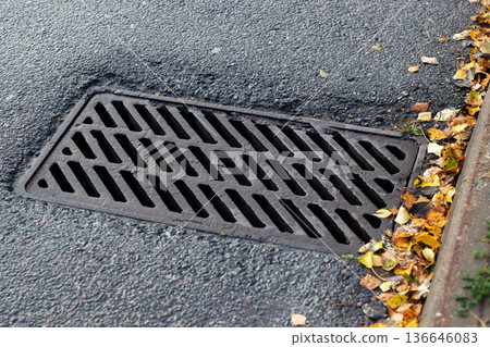 Composition highlighting curbside storm drain with fallen leaves and rainreflective puddles 136646083