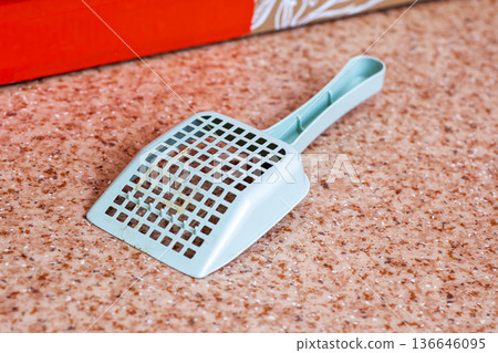 Scene showing pet accident cleanup with plastic scoop on speckled linoleum surface 136646095