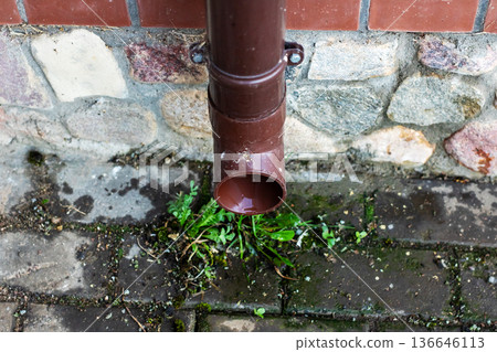 Damp ground beneath downpipe showing issues. Moisture marks on brick wall suggest leakage concerns Damp ground beneath downpipe showing issues. Moisture marks on brick wall suggest leakage concerns 136646113