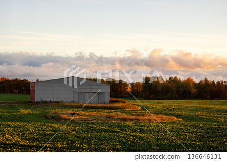Peaceful pastoral setting featuring weathered metal walls and vivid springtime floral carpet 136646131