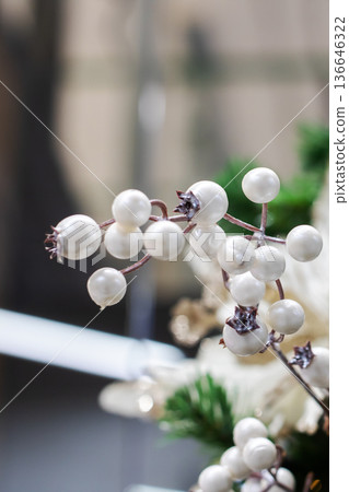 Frosted berries with soft background. Delicate berries on icy branch with subtle lighting 136646322