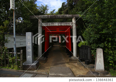 Itsukushima Shrine 136648361