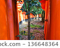 Kyoto Fushimi Inari Taisha Shrine, Senbon Torii (Fushimi Ward, Kyoto City, Kyoto Prefecture) Kyoto Fushimi Inari Taisha Shrine, Senbon Torii (Fushimi Ward, Kyoto City, Kyoto Prefecture) 136648364