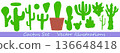 Vector illustration set with different cactus silhouettes in green. Decorative botanical composition with modern minimal style. 136648418