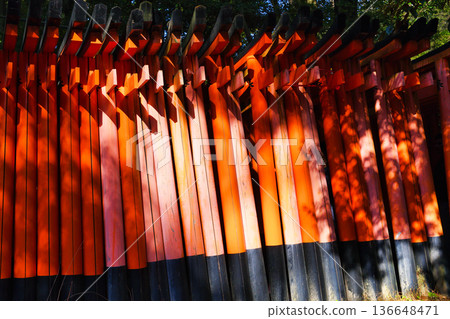Kyoto Fushimi Inari Taisha Shrine, Senbon Torii (Fushimi Ward, Kyoto City, Kyoto Prefecture) 136648471
