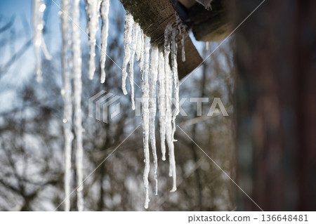 Close up of icicles hanging from a wooden roof in winter with blurred trees in the background Close up of icicles hanging from a wooden roof in winter with blurred trees in the background 136648481