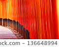 Kyoto Fushimi Inari Taisha Shrine, Senbon Torii (Fushimi Ward, Kyoto City, Kyoto Prefecture) Kyoto Fushimi Inari Taisha Shrine, Senbon Torii (Fushimi Ward, Kyoto City, Kyoto Prefecture) 136648994