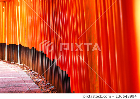 京都伏見稻荷大社千本鳥居（京都府京都市伏見區） 136648994