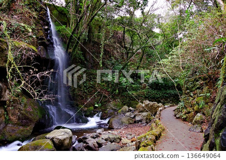 Scenery of Manyo Park, a relaxing space in Yugawara Scenery of Manyo Park, a relaxing space in Yugawara 136649064