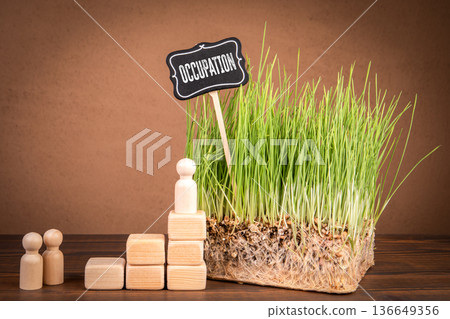 Occupation Territory Control Concept With Wooden Figures And Growing Land Background 136649356