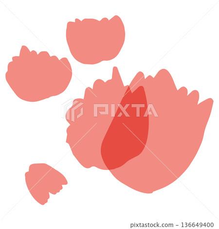 母親節透明康乃馨系列 | 康乃馨花瓣 136649400