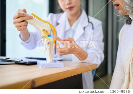 Close up a woman doctor holding bone model talking to old patient sitting at table in diagnosis room Close up a woman doctor holding bone model talking to old patient sitting at table in diagnosis room 136649986