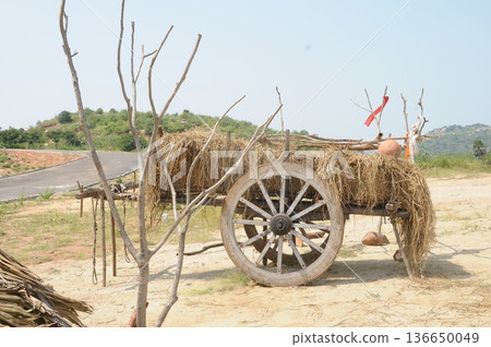 Bull cart Rural Area 136650049