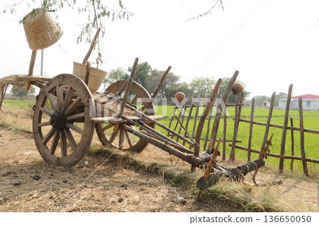 Bull cart Rural Area Bull cart Rural Area 136650050