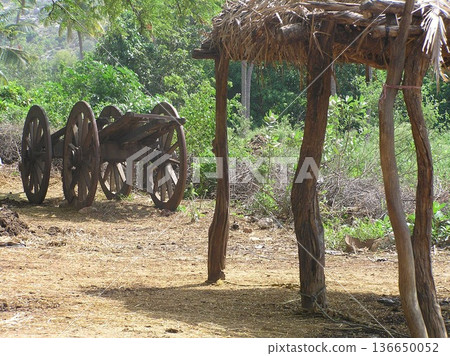 Bull cart Rural Area 136650052