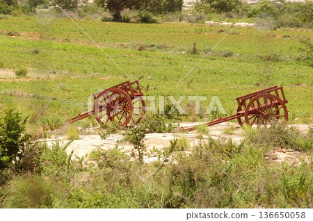 Bull cart Rural Area Bull cart Rural Area 136650058