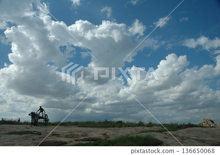 Bull cart Rural Area 136650068