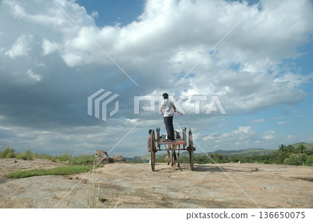 Bull cart Rural Area 136650075