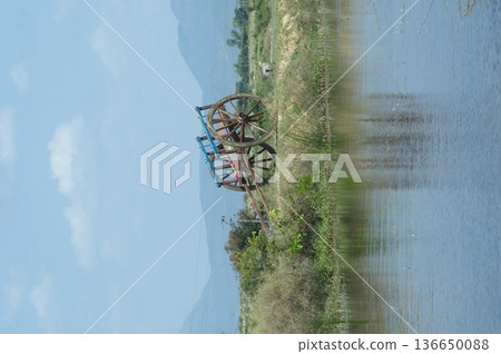 Bull cart Rural Area Bull cart Rural Area 136650088