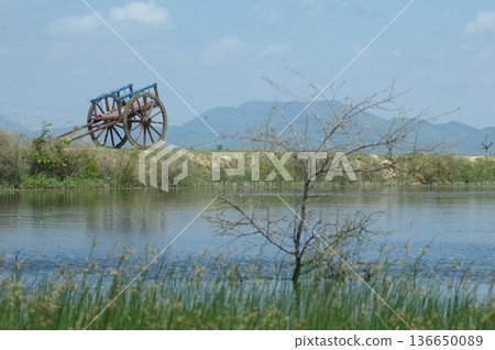 Bull cart Rural Area Bull cart Rural Area 136650089