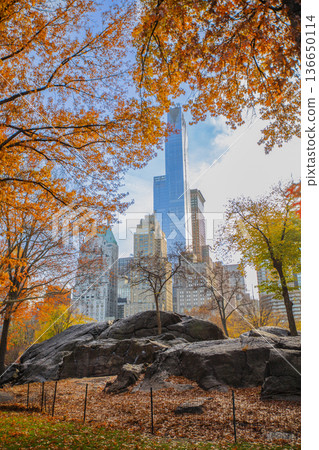 Autumn in Central Park New York Autumn in Central Park New York 136650114