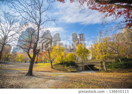 Autumn in Central Park New York Autumn in Central Park New York 136650115