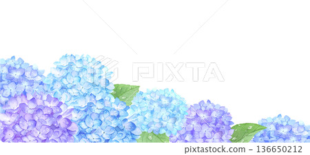 水彩繡球花,綴以雨滴 水彩繡球花,綴以雨滴 136650212