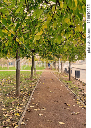Autumn Path at Marmara Seashore, Istanbul. A peaceful walkway in an Istanbul park during autumn, featuring fallen yellow leaves and a view of the Marmara coast. Autumn Path at Marmara Seashore, Istanbul. A peaceful walkway in an Istanbul park during autumn, featuring fallen yellow leaves and a view of the Marmara coast. 136650255