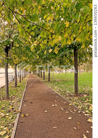 Autumn Path at Marmara Seashore, Istanbul. A peaceful walkway in an Istanbul park during autumn, featuring fallen yellow leaves and a view of the Marmara coast. Autumn Path at Marmara Seashore, Istanbul. A peaceful walkway in an Istanbul park during autumn, featuring fallen yellow leaves and a view of the Marmara coast. 136650263