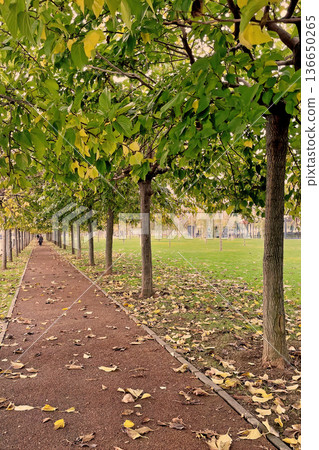 Autumn Path at Marmara Seashore, Istanbul. A peaceful walkway in an Istanbul park during autumn, featuring fallen yellow leaves and a view of the Marmara coast. Autumn Path at Marmara Seashore, Istanbul. A peaceful walkway in an Istanbul park during autumn, featuring fallen yellow leaves and a view of the Marmara coast. 136650265