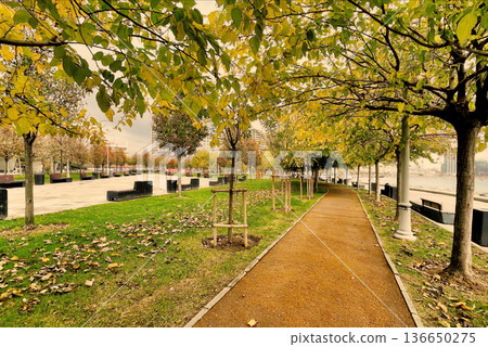 Autumn Path at Marmara Seashore, Istanbul. A peaceful walkway in an Istanbul park during autumn, featuring fallen yellow leaves and a view of the Marmara coast.  136650275