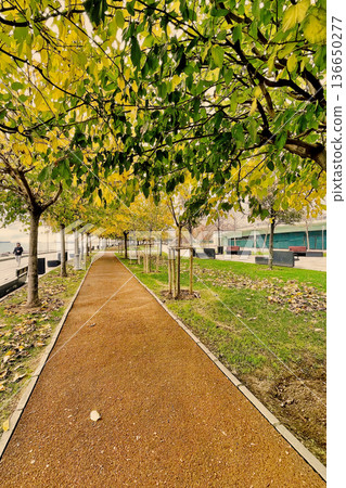 Autumn Path at Marmara Seashore, Istanbul. A peaceful walkway in an Istanbul park during autumn, featuring fallen yellow leaves and a view of the Marmara coast.  136650277