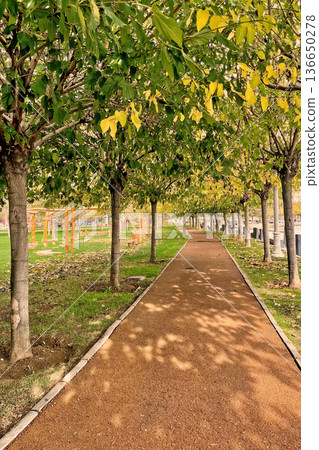 Autumn Path at Marmara Seashore, Istanbul. A peaceful walkway in an Istanbul park during autumn, featuring fallen yellow leaves and a view of the Marmara coast.  136650278