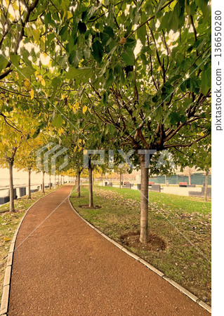 Autumn Path at Marmara Seashore, Istanbul. A peaceful walkway in an Istanbul park during autumn, featuring fallen yellow leaves and a view of the Marmara coast. Autumn Path at Marmara Seashore, Istanbul. A peaceful walkway in an Istanbul park during autumn, featuring fallen yellow leaves and a view of the Marmara coast. 136650280