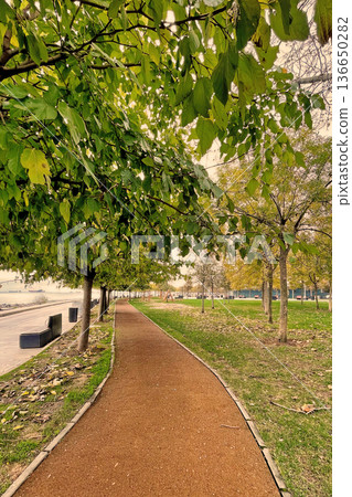 Autumn Path at Marmara Seashore, Istanbul. A peaceful walkway in an Istanbul park during autumn, featuring fallen yellow leaves and a view of the Marmara coast. Autumn Path at Marmara Seashore, Istanbul. A peaceful walkway in an Istanbul park during autumn, featuring fallen yellow leaves and a view of the Marmara coast. 136650282