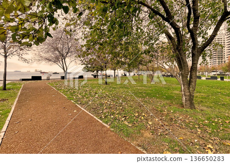 Autumn Path at Marmara Seashore, Istanbul. A peaceful walkway in an Istanbul park during autumn, featuring fallen yellow leaves and a view of the Marmara coast. Autumn Path at Marmara Seashore, Istanbul. A peaceful walkway in an Istanbul park during autumn, featuring fallen yellow leaves and a view of the Marmara coast. 136650283