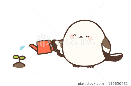 一隻微笑的長尾山雀正在給樹葉澆水。 136650481